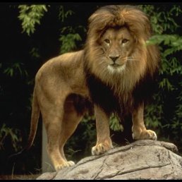 Илья, Нижний Новгород